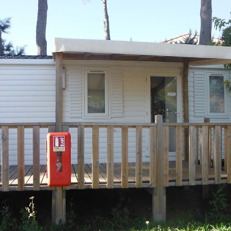Camping L'Elephant Saint-Raphaël Dış mekan fotoğraf